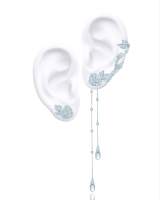 ������ � ������� � ������ WILD ROSES. 610733