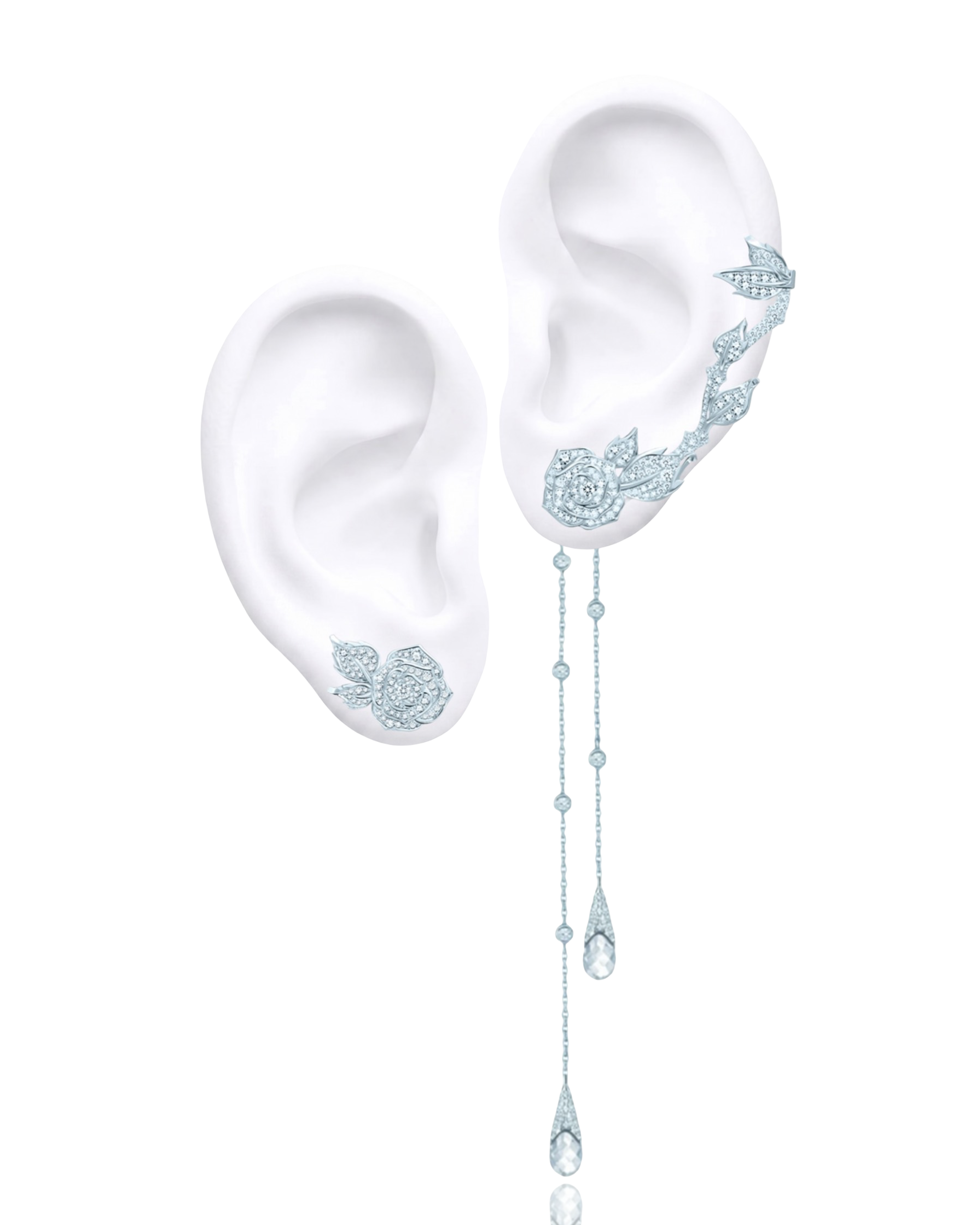 ������ � ������� � ������ WILD ROSES. 610733
